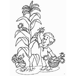 Farmer harvesting corn with a cheerful corn character coloring page