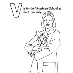Veterinarian holding a small dog coloring page