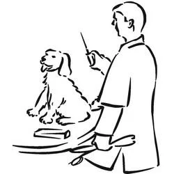 Veterinarian giving a dog an injection coloring page