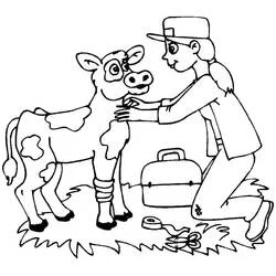 Veterinarian examining a young cow coloring page