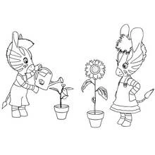 Zou - Free printable coloring pages