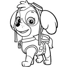 Skye from Paw Patrol with aviator goggles coloring page