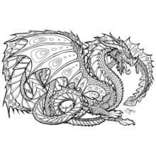 Dragon - Free printable coloring pages