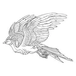 Phoenix flying with wings spread wide coloring page