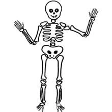 Skeleton - Free printable coloring pages