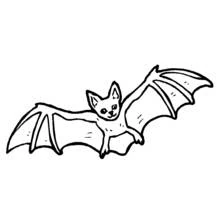 Vampire bat flying with wings spread coloring page