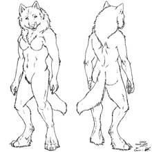 Werewolf front and back view coloring page
