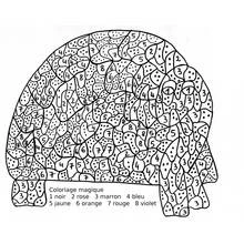Turtle shell color by number coloring page