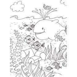 Whale swimming among fish underwater coloring page