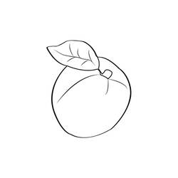 Apricot - Free printable coloring pages