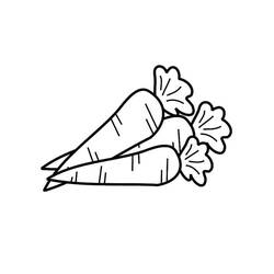 Carrot bundle lying together coloring page