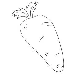 Carrot - Free printable coloring pages