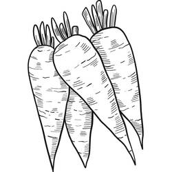 Carrot bunch with leafy tops coloring page