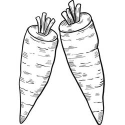Carrot pair standing side by side coloring page