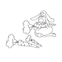 Rabbit eating a carrot with three more on the ground coloring page