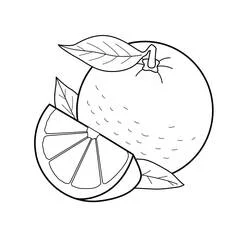 Orange - Free printable coloring pages