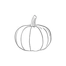 Pumpkin with wide segments and bold stem coloring page