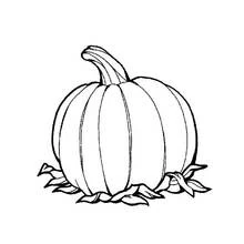 Pumpkin with a curved stem sitting on leaves coloring page