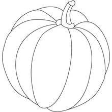 Pumpkin divided into wide vertical segments coloring page