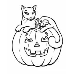 Cat perched on a jack-o'-lantern pumpkin coloring page