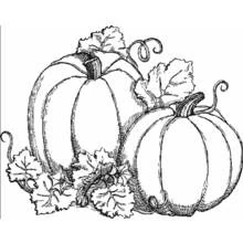 Pumpkin duo with leaves and vines coloring page
