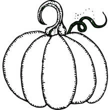 Pumpkin with a curly stem and vine coloring page