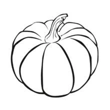 Pumpkin with a curved stem coloring page