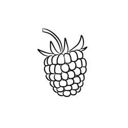 Raspberry - Free printable coloring pages