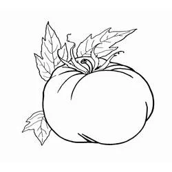 Tomato with curled stem and pointed leaves coloring page