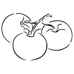 Three tomatoes on the vine coloring page