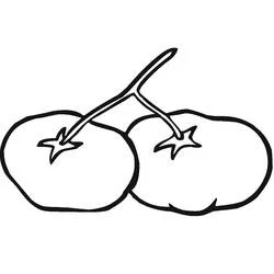 Two tomatoes joined on the same stem coloring page