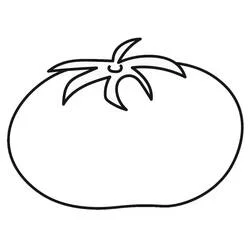Single tomato with star-shaped leafy top coloring page