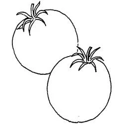 Two simple tomatoes side by side coloring page