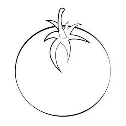 Large round tomato with bold curved outline coloring page