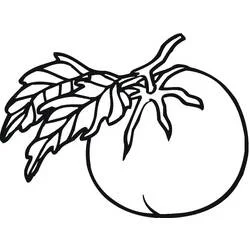 Round tomato on jagged branching leaves coloring page