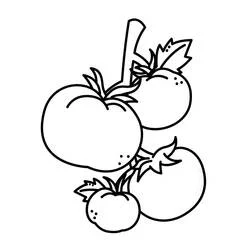 Tomato cluster on the vine coloring page