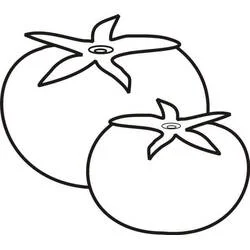 Two fresh tomatoes with leafy stems coloring page