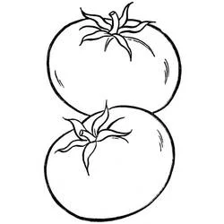 Tomato pair stacked together coloring page