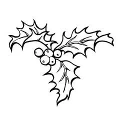 Christmas Holly - Free printable coloring pages