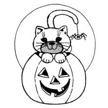 Cat sitting inside a jack-o'-lantern coloring page