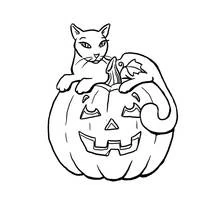 Cat sitting on a jack-o'-lantern coloring page