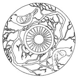 Mandala with birds perched on branches coloring page
