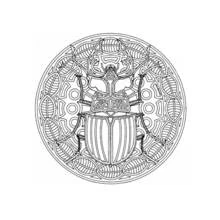 Beetle mandala with symmetrical patterns coloring page