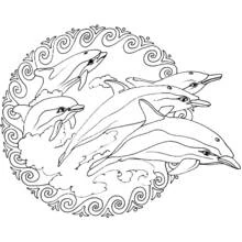 Animals Mandalas - Free printable coloring pages