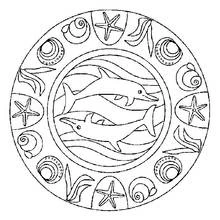 Dolphins mandala with sea shells and starfish coloring page