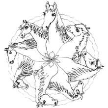 Mandala with horse heads arranged in a circle coloring page
