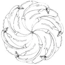 Dolphins mandala in spiral formation coloring page