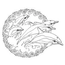 Dolphins mandala jumping through waves coloring page