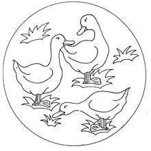 Mandala with three ducks in the grass coloring page