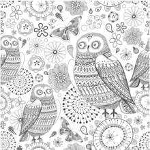 Owls among flowers and butterflies mandala coloring page